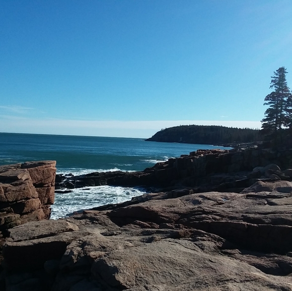 Meet your Posher, Lilly - Picture 2 of 2